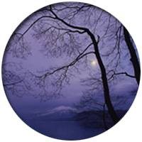 �L���̂��ē�