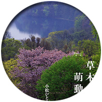 �L���̂��ē�