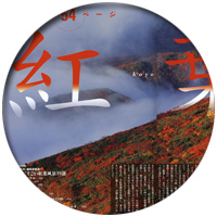 �L���̂��ē�