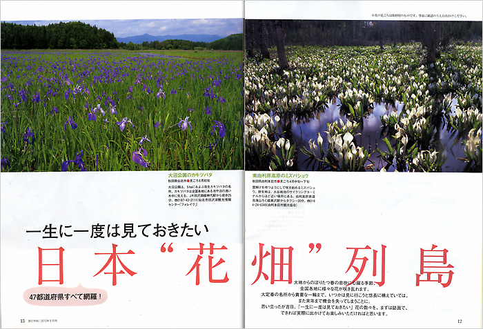 ���{�Ԕ��񓇁@���J��