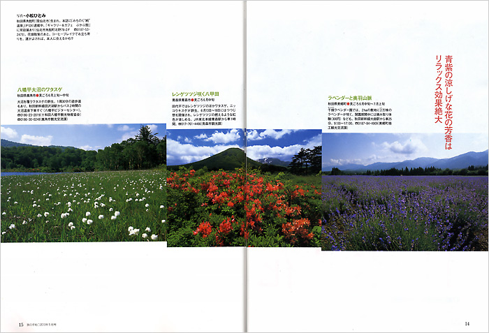 ���{�Ԕ��񓇁@���J��