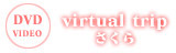 virtual trip さくら