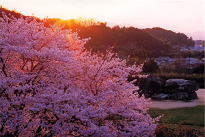 �������Ε���