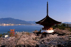 ���|�̋{��