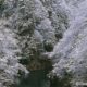 今月の一枚・2004年12月「初冬の抱返り渓谷」（秋田県角館町）