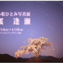 小松ひとみ写真展『桜　逢瀬』(富士フイルムフォトサロン 仙台）開催のお知らせ