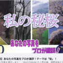 先月末のフォトリウム生ライブ配信